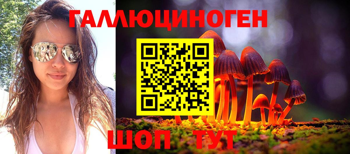 Галлюциногенные грибы MAGIC MUSHROOMS Гатчина