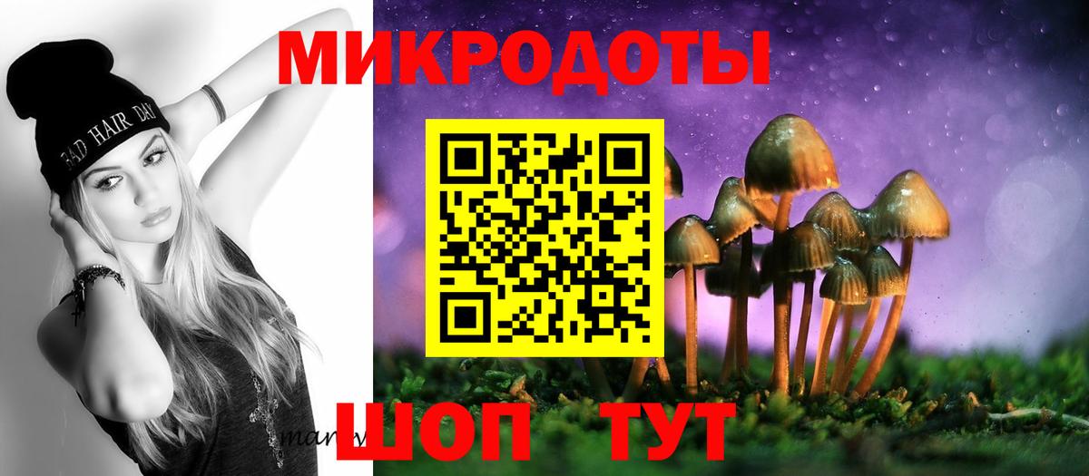 Гатчина  Галлюциногенные грибы GOLDEN TEACHER  Вход с VPN 
